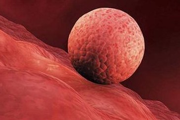 2026河南省17家试管婴儿医院大全，附成功率前十医院名单分享