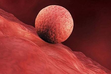 泰国试管医院在中国联系机构