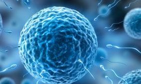 2026年没有精子可以去烟台毓璜顶医院做三代试管吗？会不会很贵