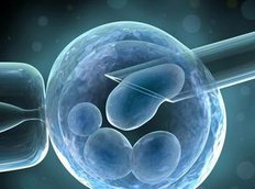 2026试管婴儿三代费用能花多少钱呢？