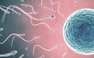 成都可以做三代试管的医院怎么样？