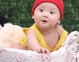 2026年广州试管婴儿医院全面解析，排名、成功率及费用一览