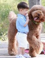 日本专业做试管婴儿的医院