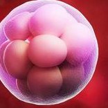 山西试管婴儿费用多少？附山西试管怀孕医院名单